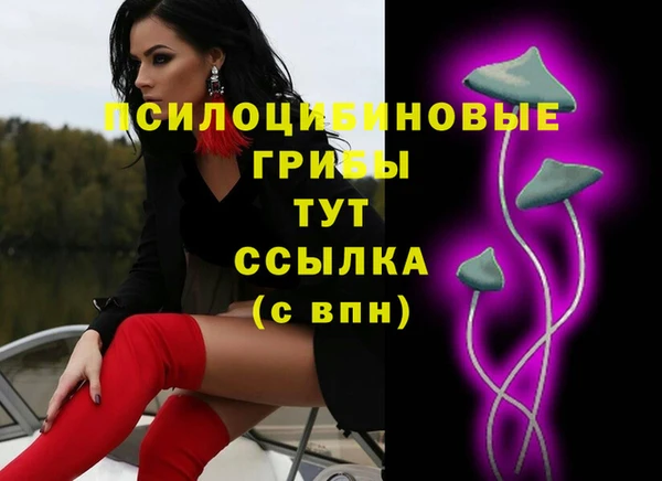 прущие грибы Балабаново