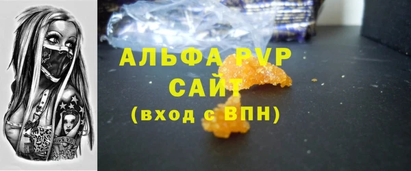 прущие грибы Балабаново