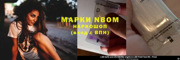 прущие грибы Балабаново