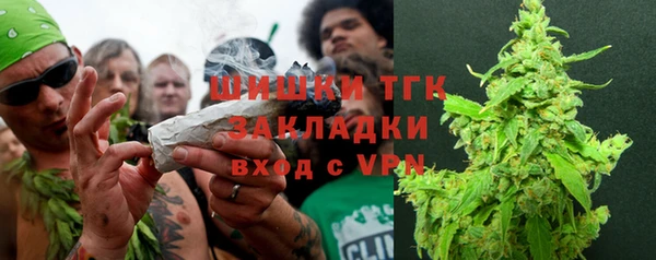 прущие грибы Балабаново