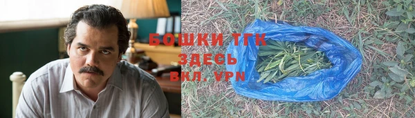 прущие грибы Балабаново