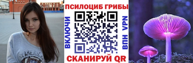 где продают наркотики  Верхняя Салда  Псилоцибиновые грибы Cubensis 