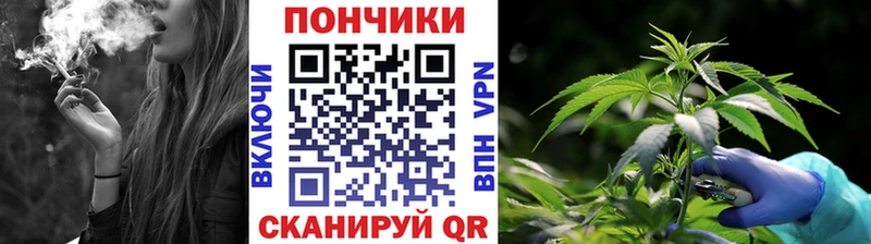 что такое наркотик  Верхняя Салда  Канабис конопля 